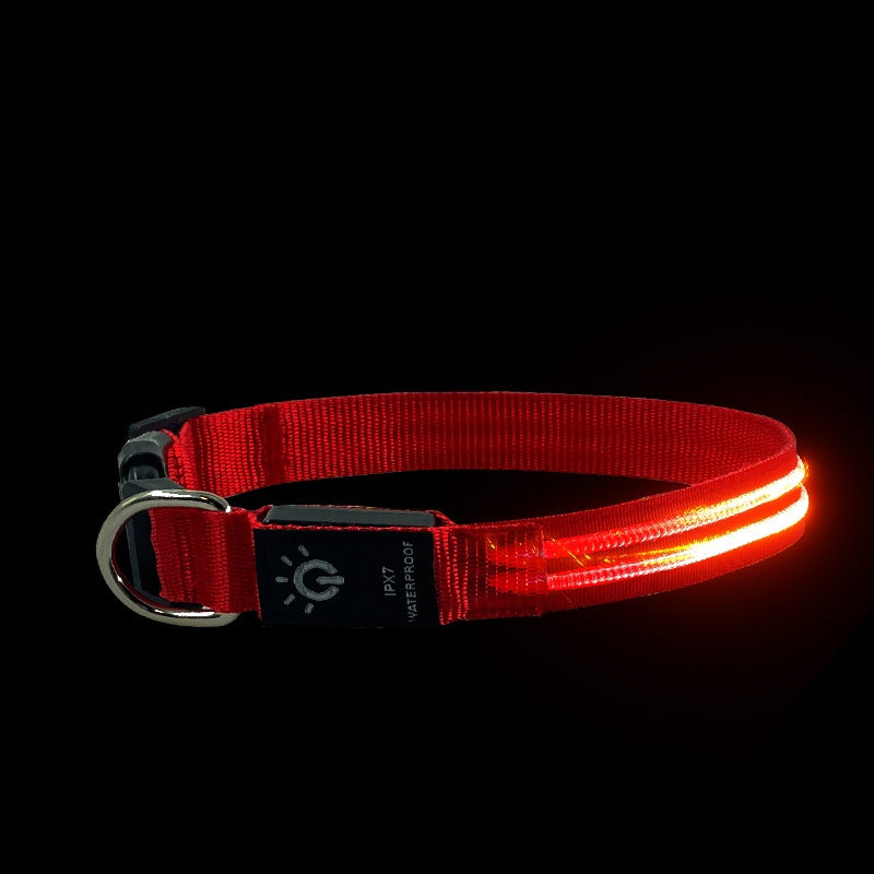 Collar LED Luminoso para Mascotas, Resistente al Agua - vista 7