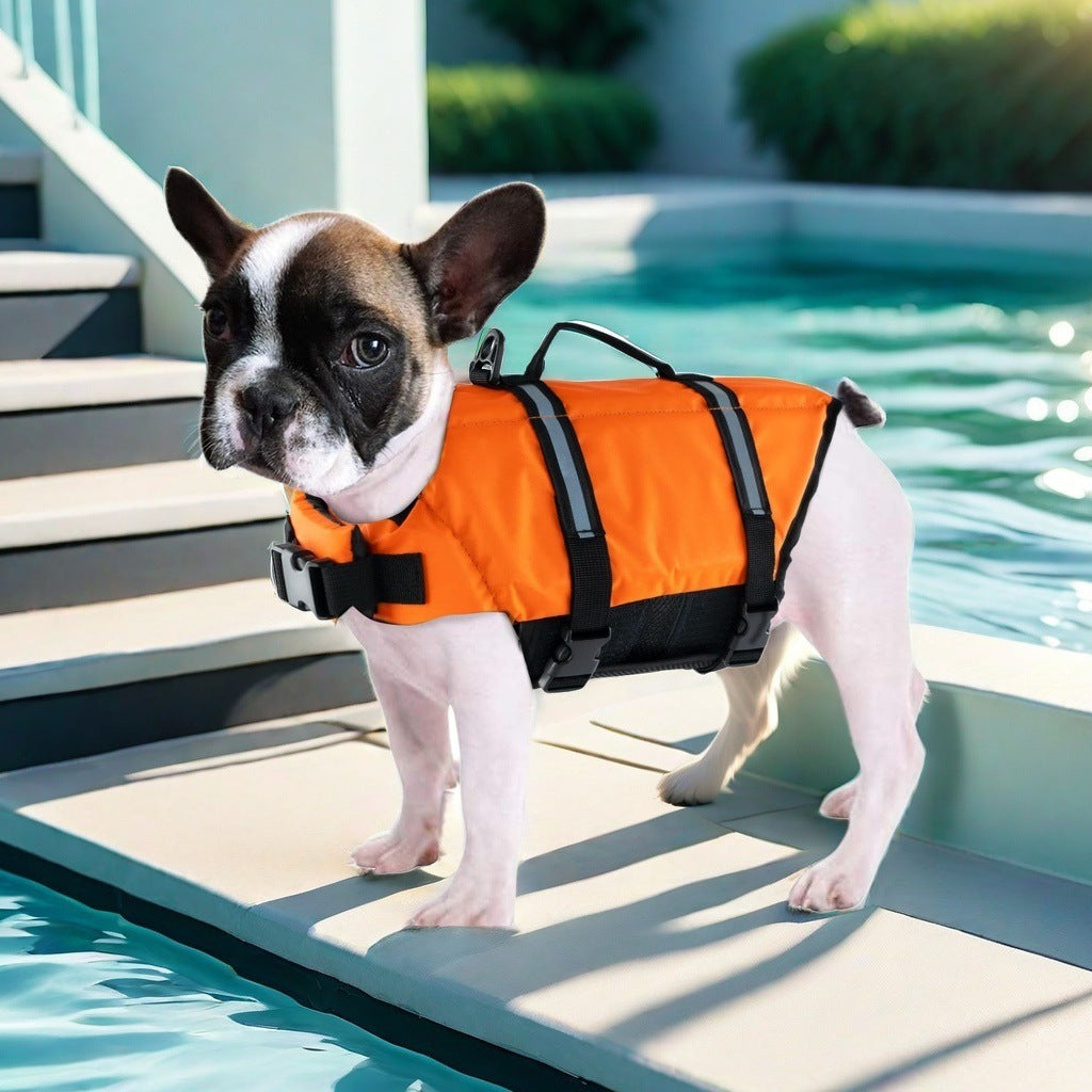Pet Swimming Supplies