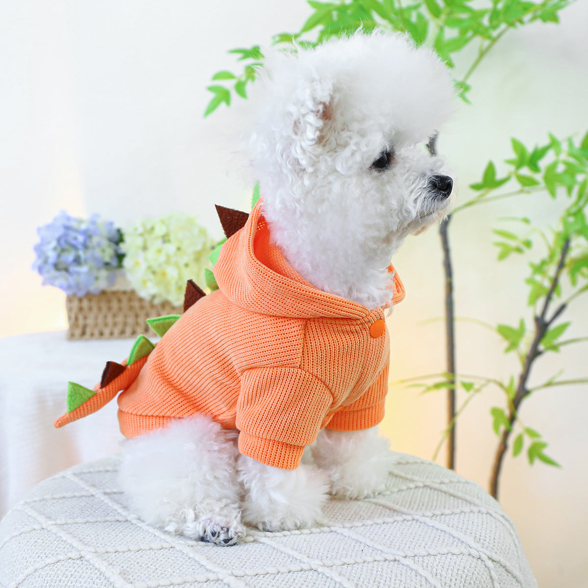 Disfraz Transformable de Dinosaurio para Perros, Halloween