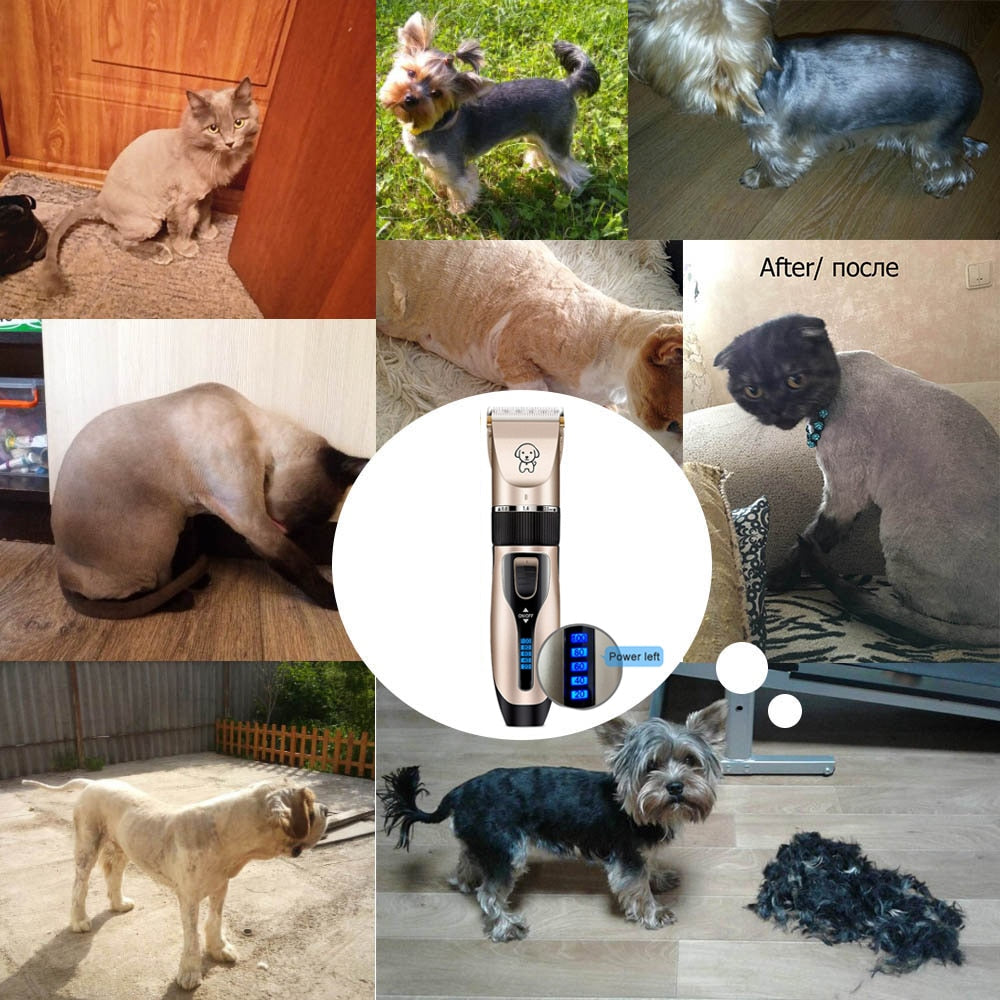 Cortapelos Recargable USB para Perros, Bajo Ruido - vista 2