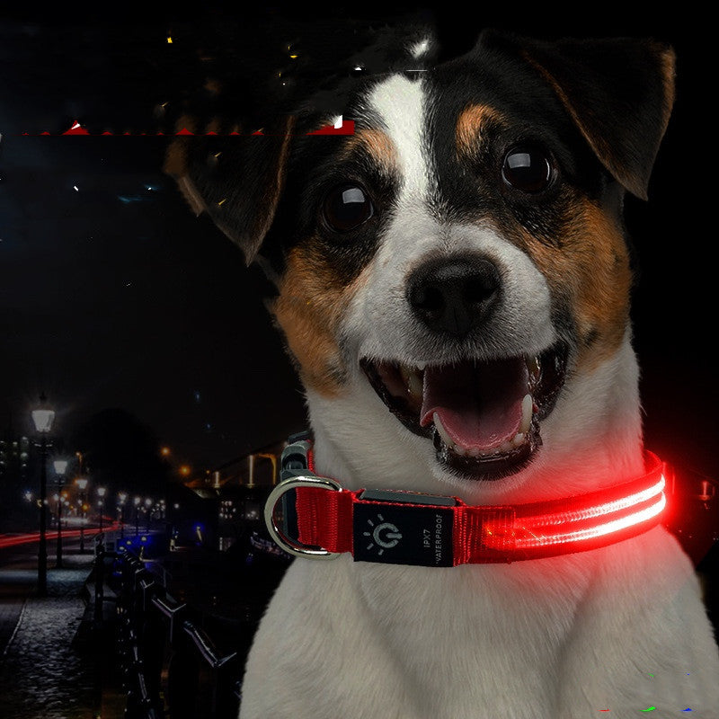 Collar LED Luminoso para Mascotas, Resistente al Agua