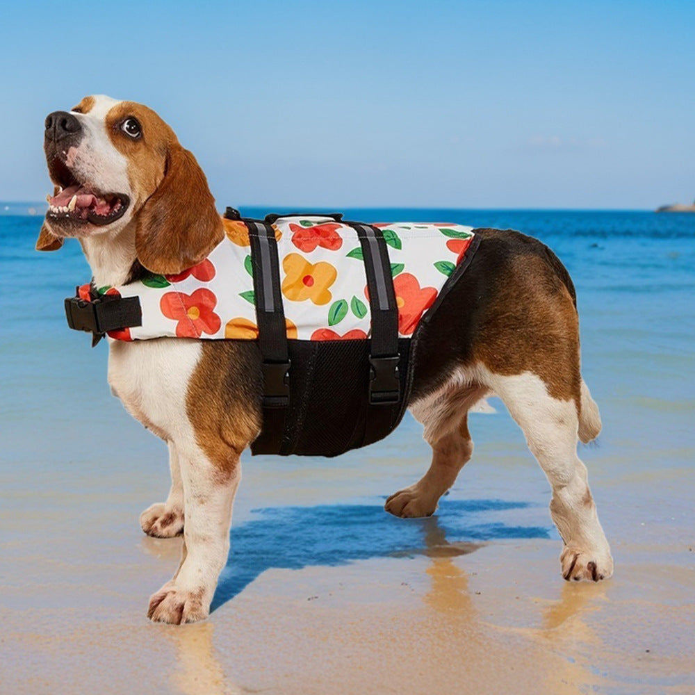 Pet Swimming Supplies