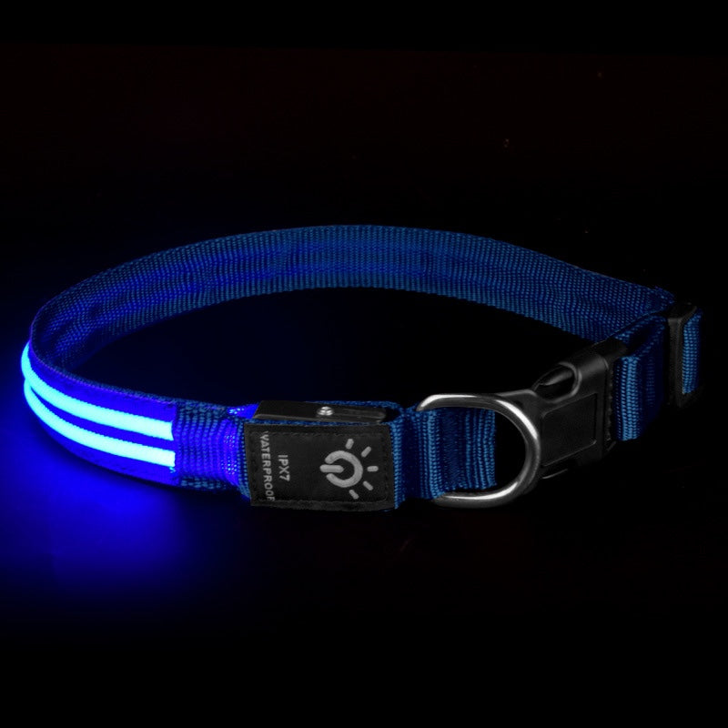 Collar LED Luminoso para Mascotas, Resistente al Agua - vista 2