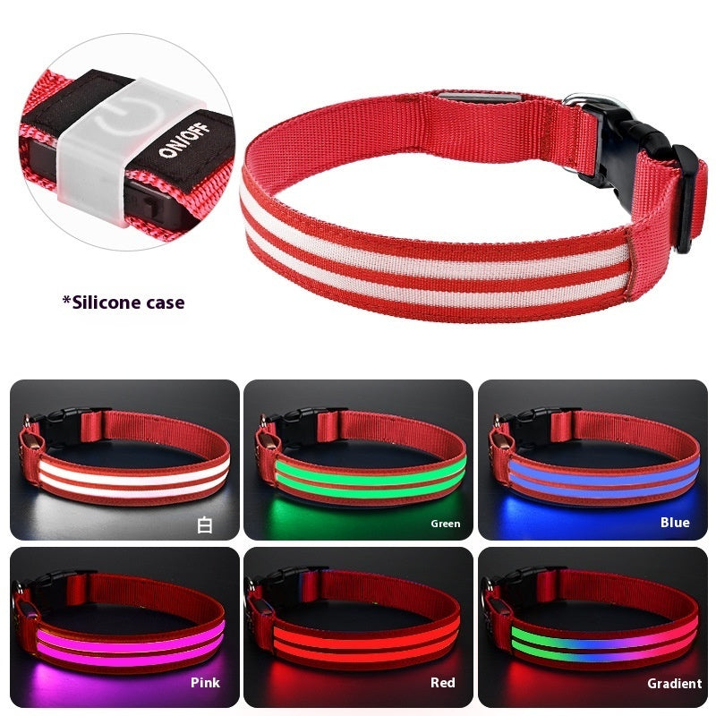 Collar Luminoso Doble Fibra para Perros, Modo Nocturno - vista 12